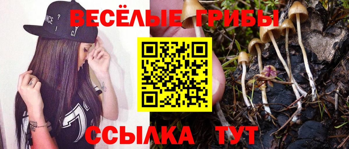 Озёры  Псилоцибиновые грибы мицелий  купить наркотики цена  Вход с VPN 