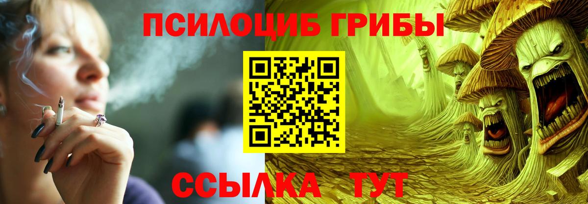 Псилоцибиновые грибы мицелий Озёры