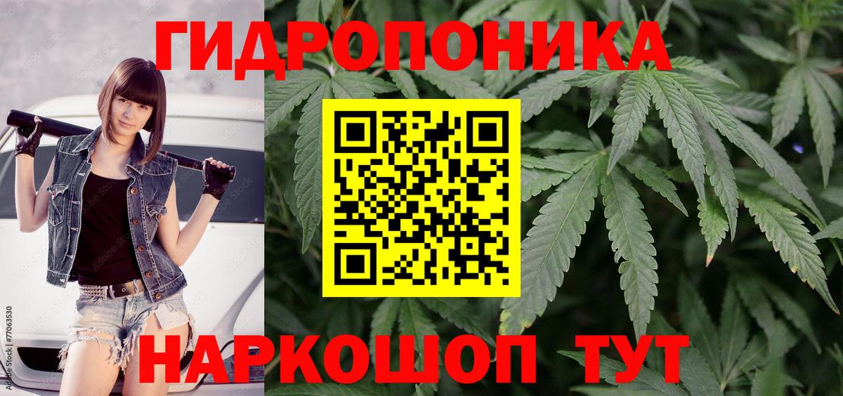 Каннабис марихуана  Вход с VPN  Озёры  Каннабис OG Kush 